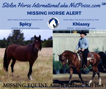 MISSING EQUINE Ameri Khlass, HH Hot N Spicy, REWARD  Near Cottonwood, CA, 96022